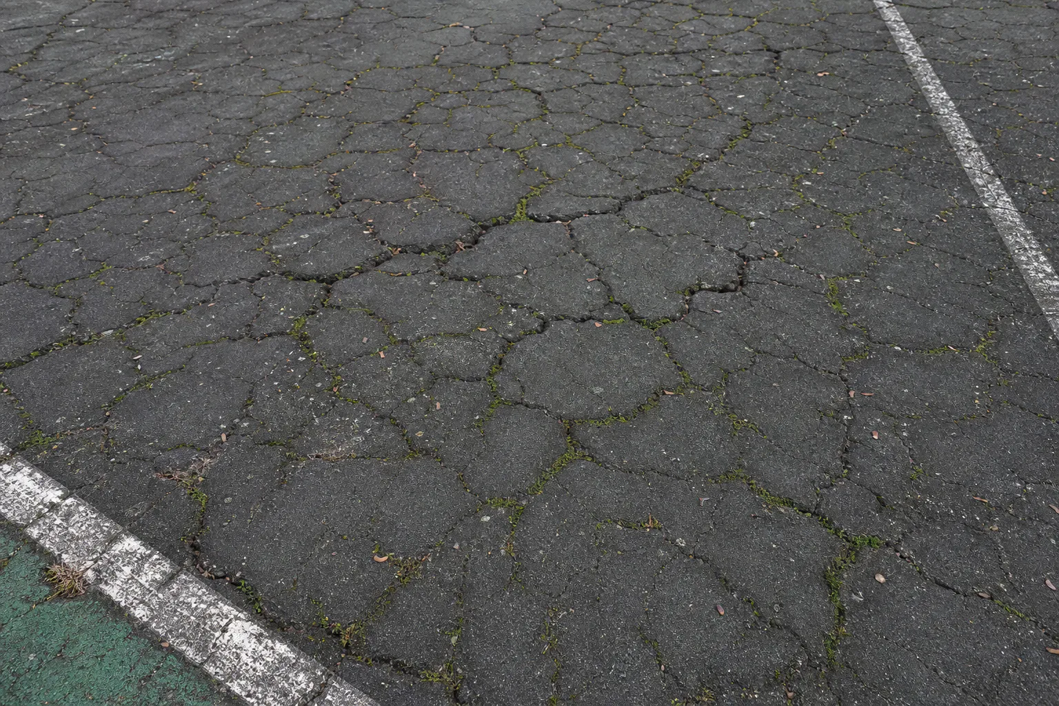 Alligator cracking in the former tennis court asphalt